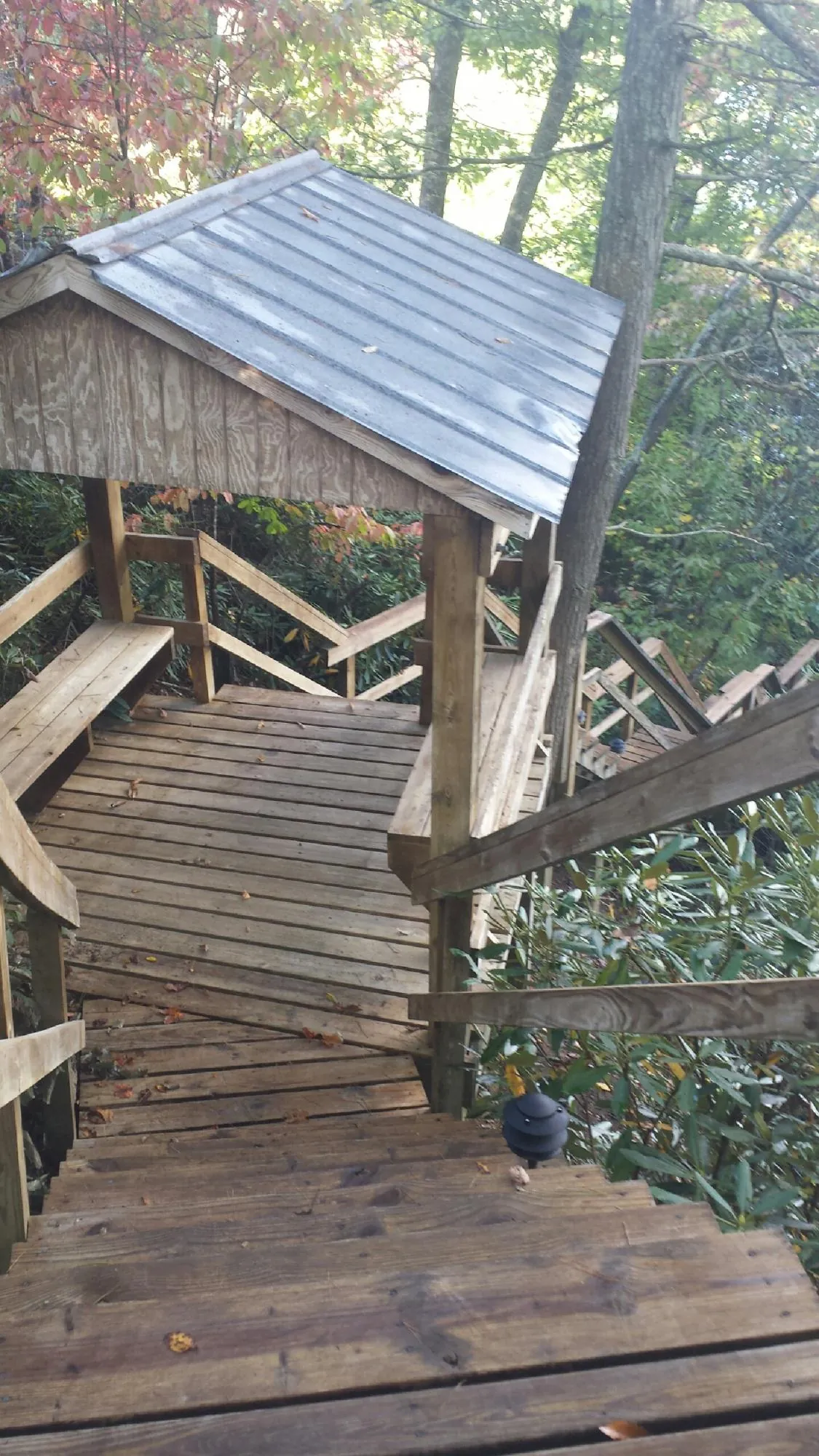 Metal roofed shelter over wooden steps on a wooded walkway — Skylight Repair & Installation work by our crew in Newberg