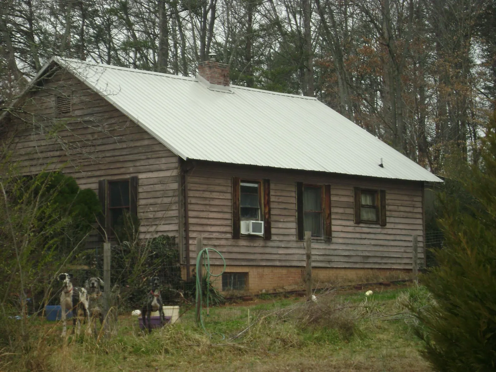 White metal roof on an old wood sided farmhouse, from a Metal Roof Installation job in Newberg